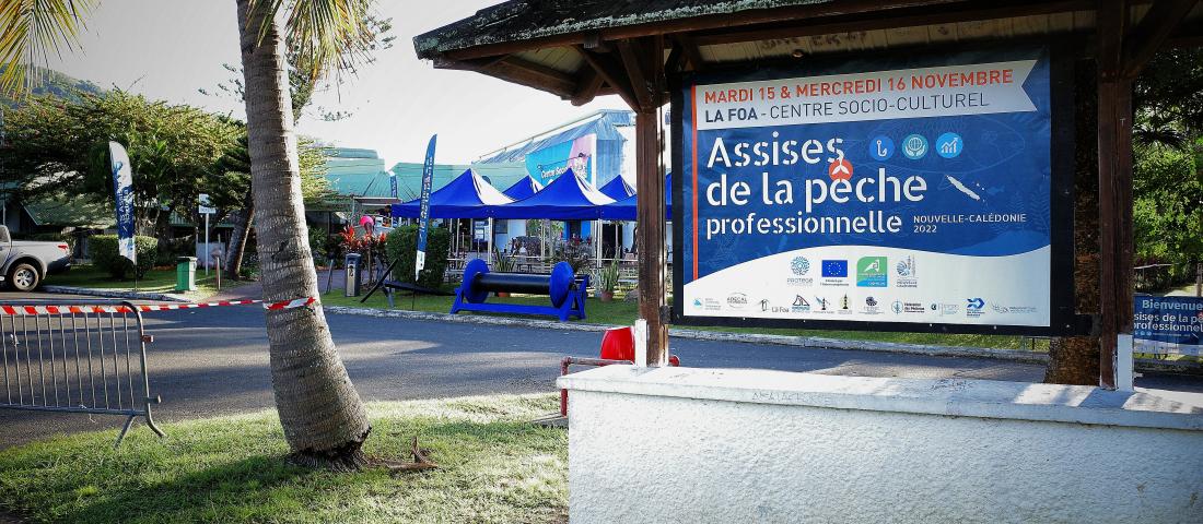 Assises de la pêche